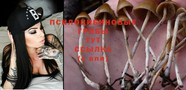 PSILOCYBIN Магадан