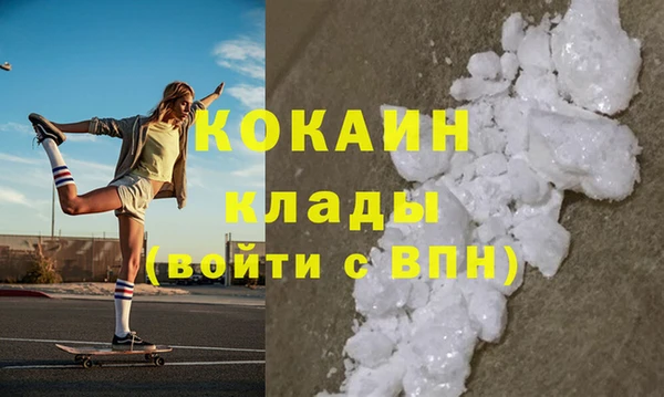 индика Медвежьегорск