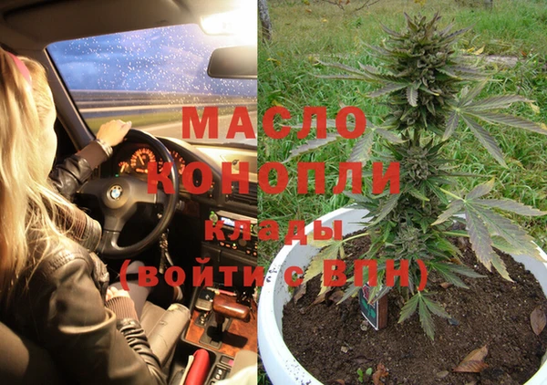 индика Медвежьегорск